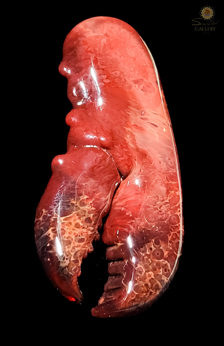 Lobster Claw Pendant MCM113 The Sensi Side Gallery