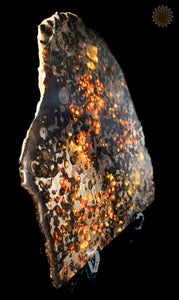 Sericho Pallasite Meteorite Kenya, Africa