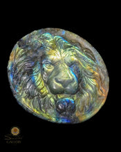 Labradorite Lion Coin