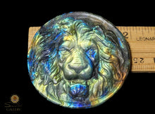 Labradorite Lion Coin