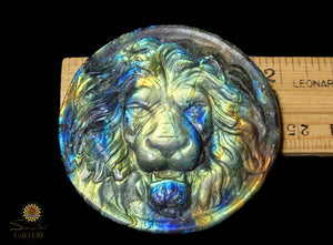 Labradorite Lion Coin