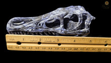 Sodalite Skull