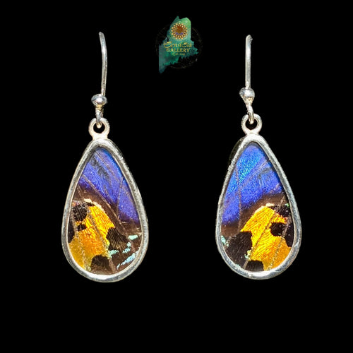 Morpho & Urania Ripheus Earrings