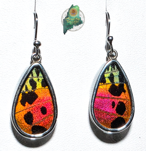 Urania Ripheus Butterfly Earrings set in Sterling Silver. 
