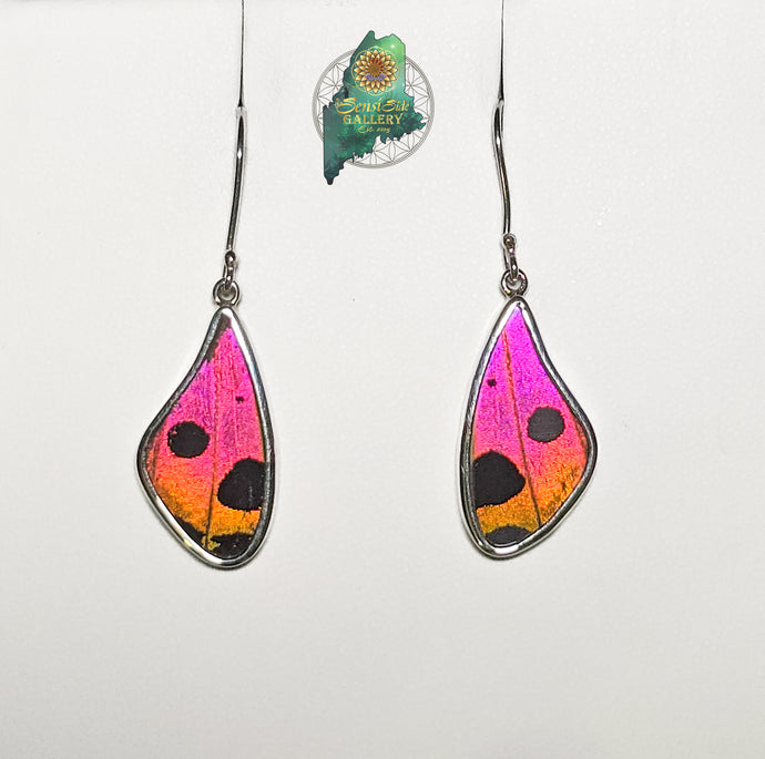 Urania Ripheus Butterfly Wing Earrings {MD0226}