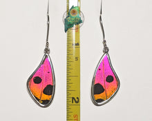 Urania Ripheus Butterfly Wing Earrings {MD0226}