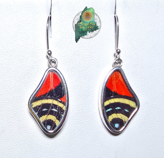 Cattagrama Butterfly Wings Earrings {MD0231}