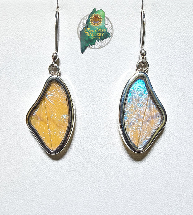 Sulkowsky Butterfly Wings Earrings {MD0230}