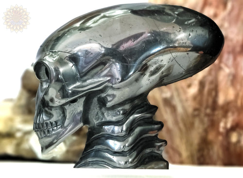 Hematite Skull