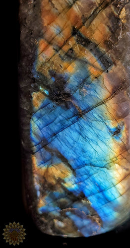 Labradorite Polished Free Form