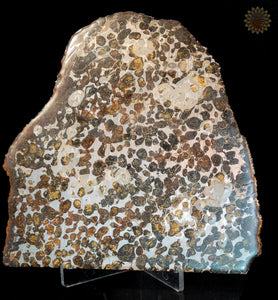 Sericho Pallasite Meteorite Kenya, Africa