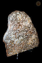 Sericho Pallasite Meteorite Kenya, Africa