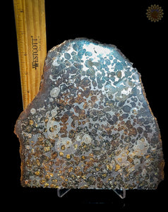 Sericho Pallasite Meteorite Kenya, Africa