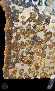 Sericho Pallasite Meteorite Kenya, Africa
