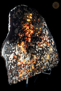 Sericho Pallasite Meteorite Kenya, Africa