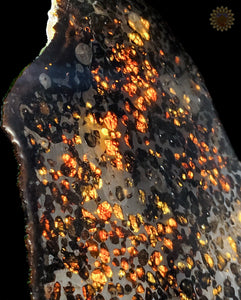 Sericho Pallasite Meteorite Kenya, Africa