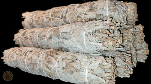 Large White Sage