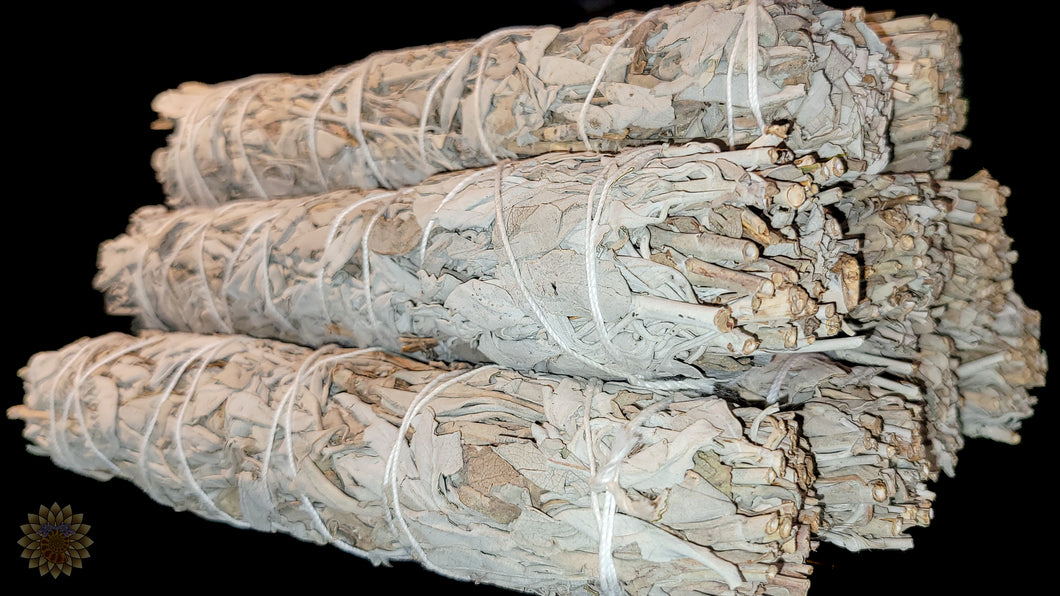 Large White Sage
