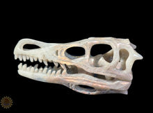 Labradorite Dino Skull