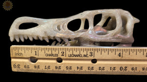 Labradorite Dino Skull