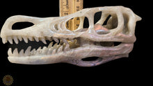 Labradorite Dino Skull