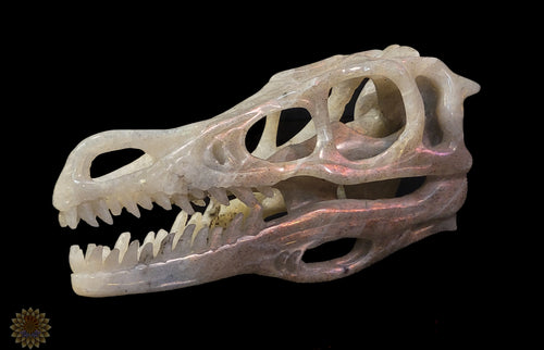 Labradorite Dino Skull