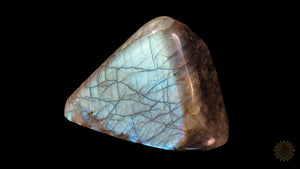 Labradorite Freeform {L303}