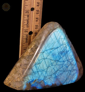 Labradorite Freeform {L303}