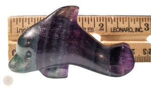 Fluorite Dolphin