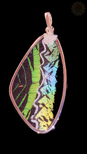 Butterfly Wing Pendant & Earring Set