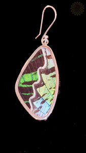 Butterfly Wing Pendant & Earring Set