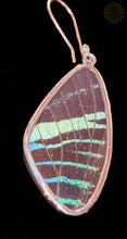 Butterfly Wing Pendant & Earring Set