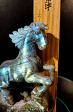 Labradorite Horse