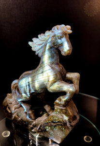 Labradorite Horse