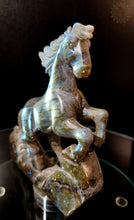 Labradorite Horse
