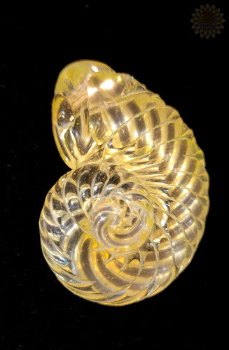 Glass Ammonite Pendant - Digger Glass