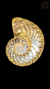 Glass Ammonite Pendant - Digger Glass