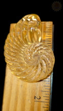 Glass Ammonite Pendant - Digger Glass