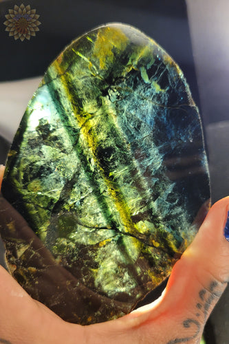Liddicoatite Tourmaline