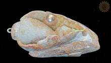 Seashell Pendant w/ Drusy & Pearl