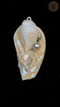 Seashell Pendant w/ Drusy & Pearl
