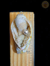 Seashell Pendant w/ Drusy & Pearl