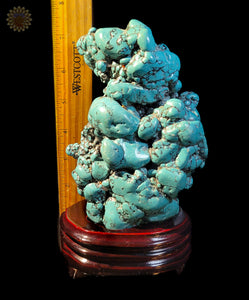 Raw Turquoise on stand