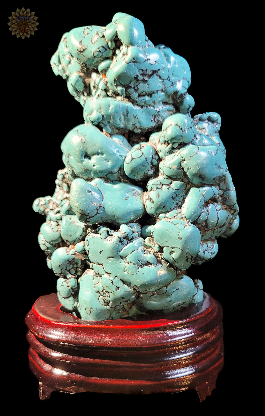 Raw Turquoise on stand