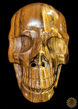 Tigers Eye Carved Skull