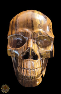 Tigers Eye Carved Skull