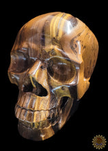 Tigers Eye Carved Skull