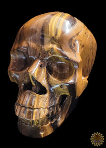 Tigers Eye Carved Skull