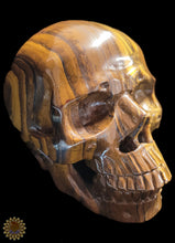 Tigers Eye Carved Skull