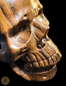 Tigers Eye Carved Skull